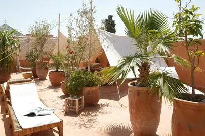 a patio with many potted plants and tables and chairs at Riad O2 in Marrakech
