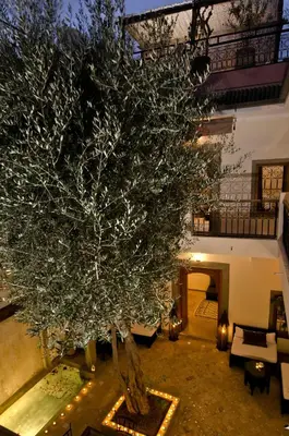 a large tree in the middle of a building at Dar Rocmarra in Marrakech