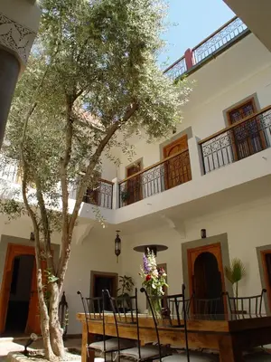 a tree in the courtyard of a house at Dar Rocmarra in Marrakech