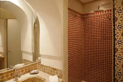 a bathroom with a shower with a sink and a mirror at Elegancia Riad Boutique & SPA in Marrakech