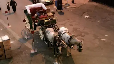 two white horses pulling a carriage on a street at Dar Soraya al Madina Marrakech in Marrakech