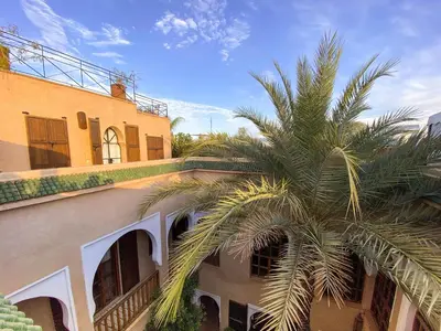 a palm tree in front of a building at Riad Selouane in Marrakech