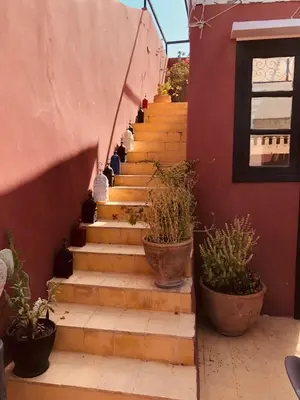 a staircase with potted plants on the side of a building at Dar Christine in Marrakech