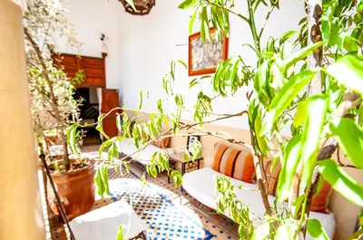 a room filled with lots of potted plants at Hotel & Spa Riad Dar El Aila in Marrakech
