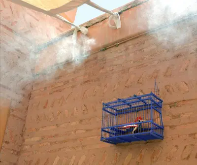 a blue bird cage hanging from a brick wall at Riad Dar Housnia in Marrakech