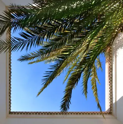 a picture of a palm tree in front of a mirror at Riad Dar Housnia in Marrakech
