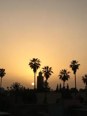 a sunset with palm trees and a building at Riad Blue Berber in Marrakech