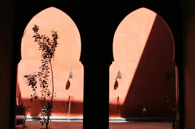 a pair of doors with a plant in the middle at Riad Honey in Marrakech