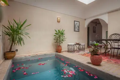 a swimming pool in a living room with potted plants at Dar Halima in Marrakech