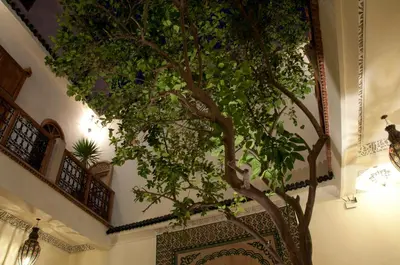 a tree in a hallway next to a building at Riad Granvilier in Marrakech