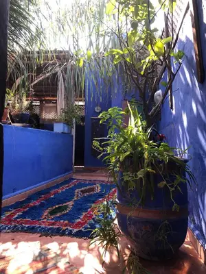 a blue wall with a blue door with plants at Riad Alamine in Marrakech
