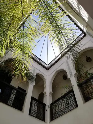 a building with a glass ceiling with a palm tree at Dar Fangui in Marrakech