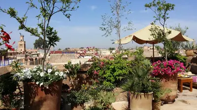 a group of potted plants in pots on a patio at Riad Al Ksar & Spa in Marrakech