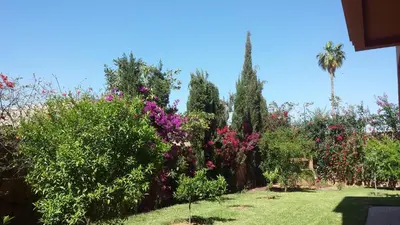 a garden with trees and flowers on a field at Villa clos Odette in Marrakech