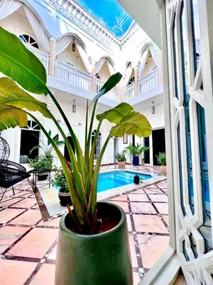a plant in a pot in a room with a pool at RIAD DREAMS in Marrakech