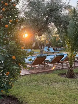 a group of picnic tables in a park with oranges at Boutique Hotel Katia in El Harkat