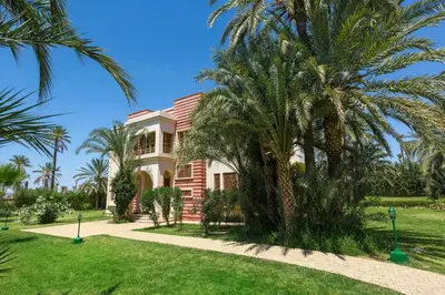 a palm tree in front of a house at Domaine Rosaroum in Marrakech