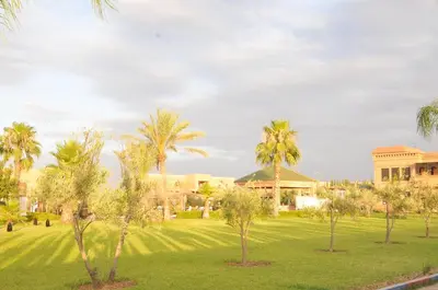 a lawn with palm trees in front of a building at Riad Mhidou in Marrakech