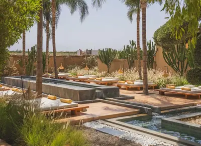 a garden with palm trees and a pond at Villa Taj Marrakech in Marrakech