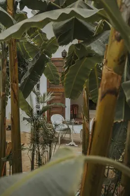 Gallery image of Palais Chadmi in Marrakech