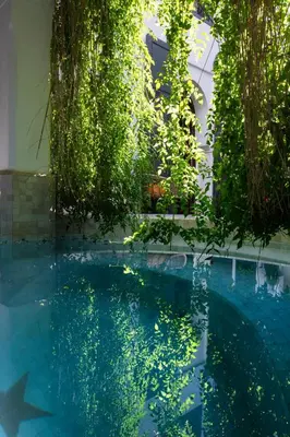 a pool of water with trees and plants at Dar Titrit in Marrakech