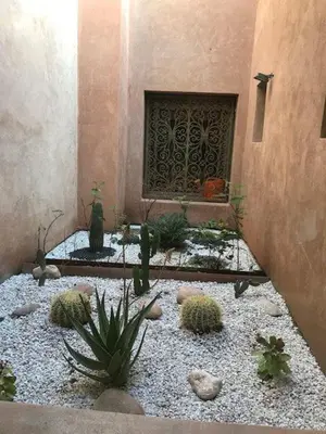 a garden with cacti and plants in front of a building at Prestigia Marrakech Village Appartment in Marrakech