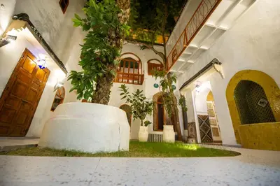 a house with a tree in the middle of a room at Riad O LY in Marrakech