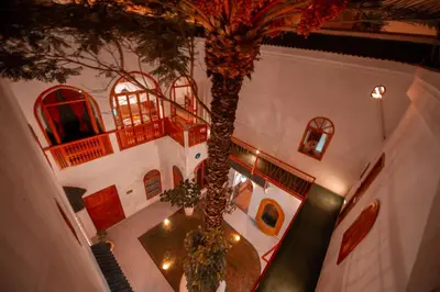 a palm tree in a room with a table at Riad O LY in Marrakech