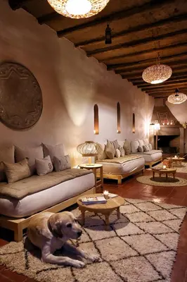 a large dog laying on a rug in a living room at La Ferme Berbere in Marrakech