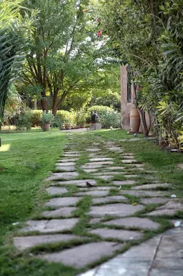 a stone path in a garden with trees and grass at La Ferme Berbere in Marrakech