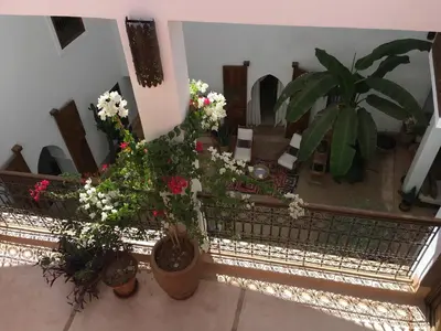 a room with potted plants and flowers on the floor at Riad UP in Marrakech