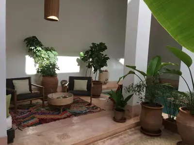 a living room filled with lots of potted plants at Riad UP in Marrakech
