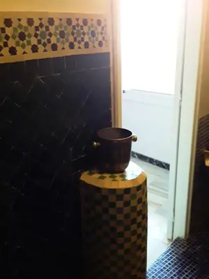 a pot sitting on top of a stump in a bathroom at Stylish Moroccan Apartment Gueliz City Centre in Marrakech