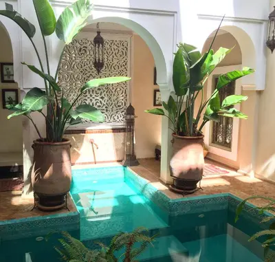 a swimming pool with three potted plants in a room at Riad Palacio De Las Especias in Marrakech