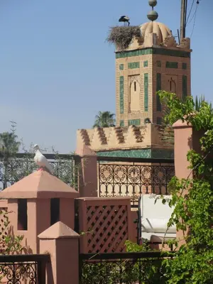 a bird sitting on top of a building with a tower at Riad Marélia in Marrakech