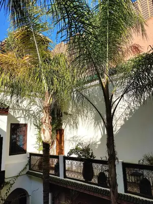 a couple of palm trees next to a building at Riad Ghali Hotel & SPA in Marrakech