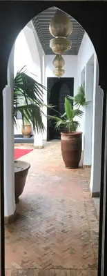 a hallway with two potted plants and a fountain at Riad Bab aylen - Piscine Roof Top chauffée in Marrakech
