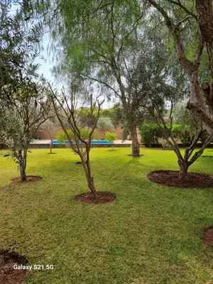 a group of trees in a park with green grass at Riad les deux citronniers in Marrakech