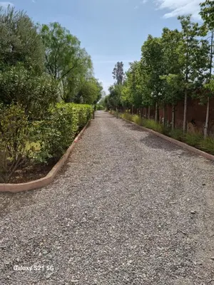 a gravel road with trees on both sides at Riad les deux citronniers in Marrakech