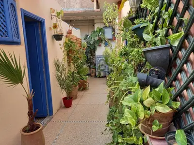 a hallway filled with plants and a blue door at Dar Rmila 4 in Marrakech