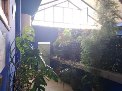 a greenhouse filled with plants and a window at Dar Rmila 4 in Marrakech