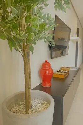 a potted tree sitting on top of a counter at Apt standing 80m2, 2 chambres, terrasse, piscine in Marrakech