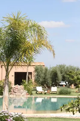 a swimming pool with a palm tree next to a building at Oasis Jena Marrakech in Marrakech