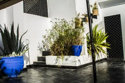 two blue pots filled with plants on a wall at Riad THALGE in Marrakech