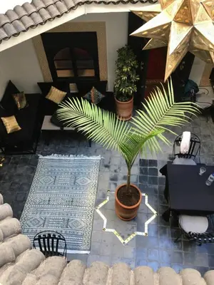 a living room with a palm plant in a pot at La Voûte Étoilée in Marrakech