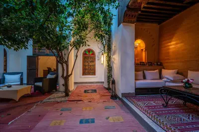 a living room with a couch and a tree at Riad Adilah Marrakech - by EMERALD STAY in Marrakech