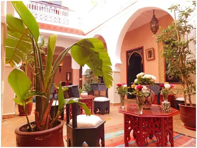 a room filled with lots of plants and tables at Riad La Rose D'orient in Marrakech