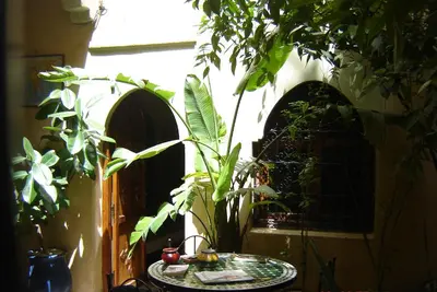 a room with a table with plants and a window at Riad Hôtel Belleville Marrakech in Marrakech