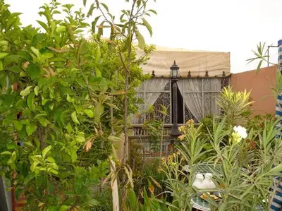 a garden with trees and a building with a street light at Riad Hôtel Belleville Marrakech in Marrakech