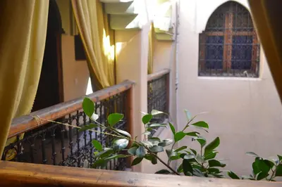 a plant sitting on a balcony next to a window at Riad Hôtel Belleville Marrakech in Marrakech